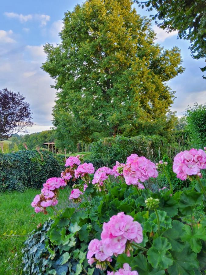 Les Tilleuls De Marie Saint-Edmond Dış mekan fotoğraf